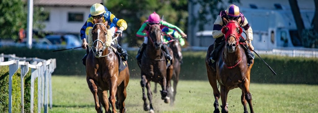 Athletes competing in a live horse racing event after arriving via a sporting events chauffeur